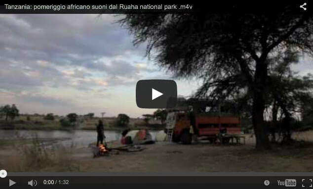 Un pomeriggio africano, suoni dal Ruaha national park. Ruaha national park Tanzania
