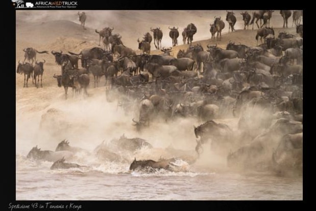 La migrazione degli animali in Africa. Tanzania e Kenya. Diario della spedizione di AfricaWildTruck.