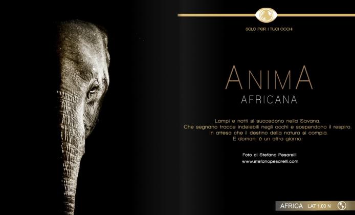 Latitudeslife. Anima africana sul numero 54. Africa Wild Truck