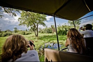 Safari, South Luangwa national park, stagione verde - Africawildtruck
