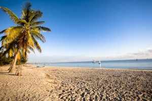 Spiaggia Quirimbas national park Mozambico del nord