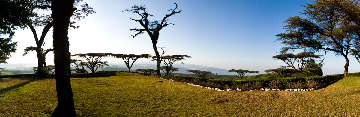 Viaggi-Africa-Malawi-panorama-te-piantagioni-acacie