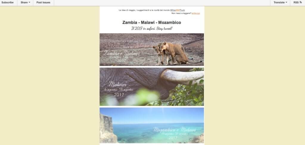 Safari viaggi volontariato fotolibri youtube e licaoni nella newsletter di febbraio turismo sostenibile responsabile newsletter africa