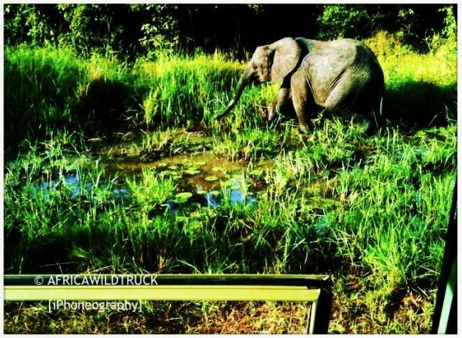 Stagione delle piogge Africa: appunti di Francesca Guazzo dalla spedizione in Malawi e Zambia