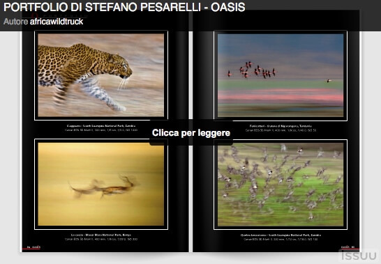 Il portfolio fotografico di Stefano Pesarelli su Oasis