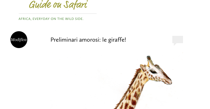 Guide on Safari: le ultime news dal Blog di Stefano Pesarelli