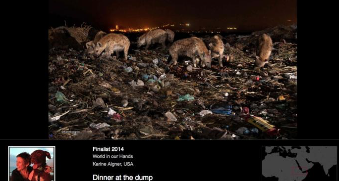 Wildlife Photographer of the Year africa iene safari