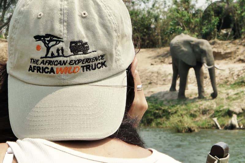 tour operator specializzato in viaggi in Africa safari elefante avvistamenti africa tour