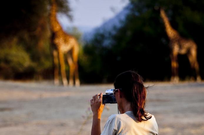 Ruaha National Park. Tanzania, safari