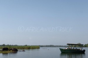 Safari in barca nel Liwonde national park in Malwi