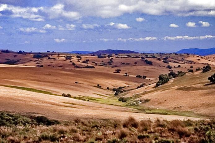 Nyika national park, Malawi, parchi nazionali, africa