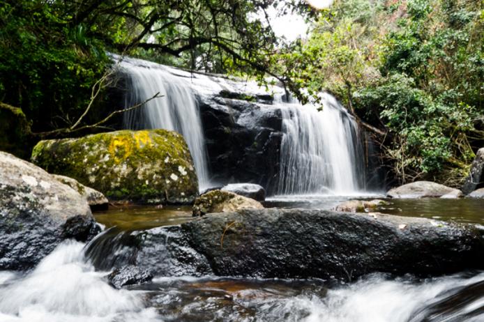 Malawi forest reserve Mulanje likhumbula trekking hiking africa safari