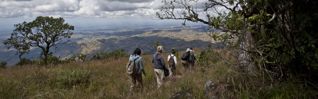 malawi nord wilderness spedizione maggio 2016