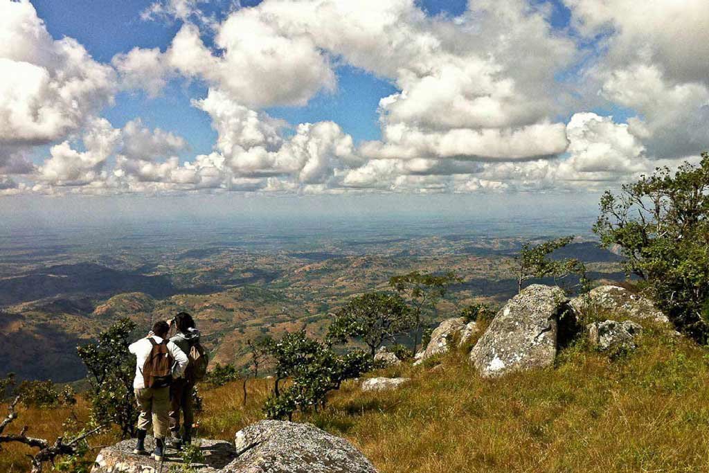 Viaggi a piedi