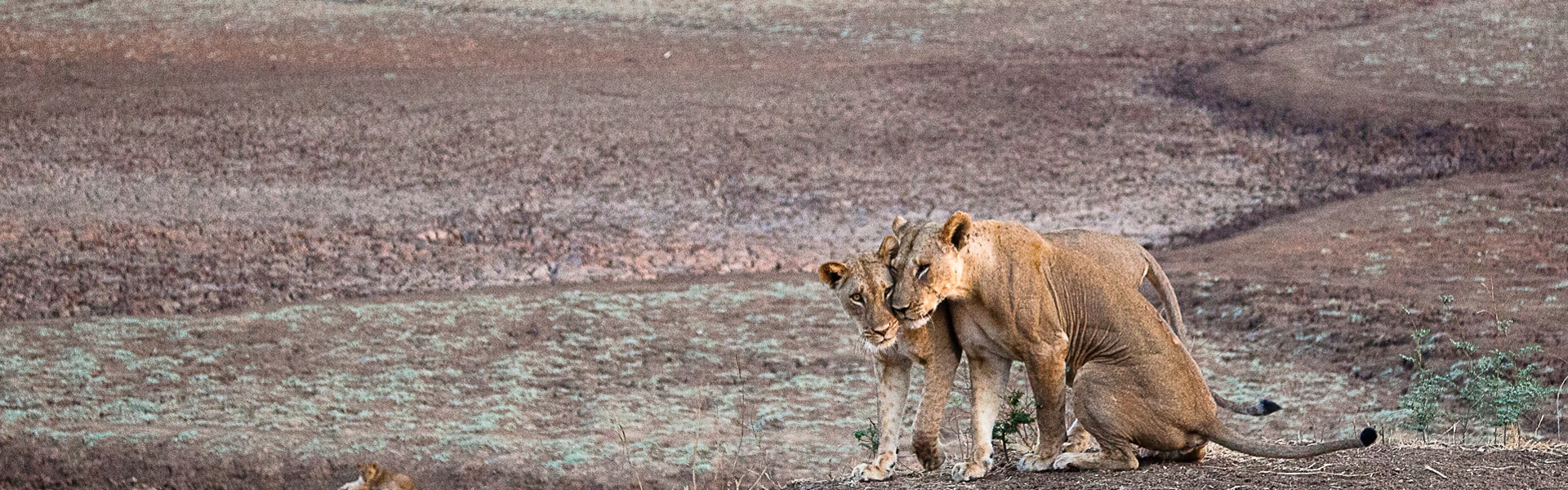 Viaggio-Zambia-e-Malawi-avventura-safari-in-Africa-africawildtruck