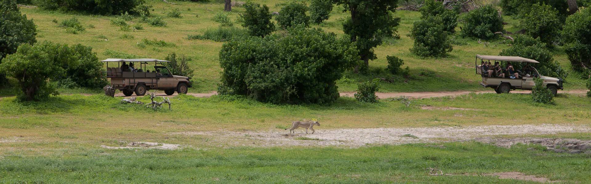 contatti-Africa-Wild-Truck-prenotazioni-viaggi-Africa-safari-botswana