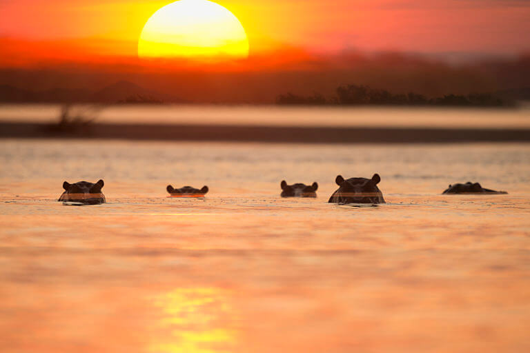 Diario di viaggio in Zambia e Malawi, safari, africa, viaggio