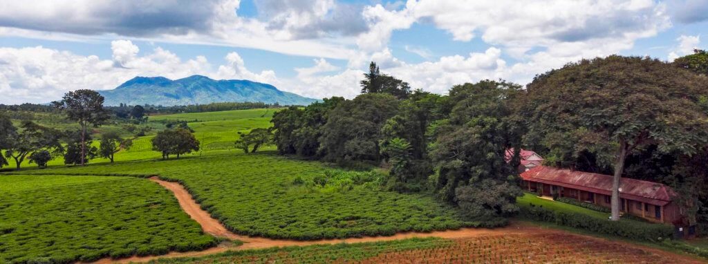 activities in Mulanje what to do