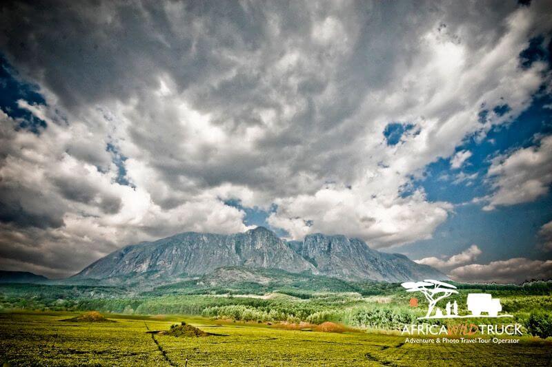 Mulanje viaggio nel cuore verde dell'Africa