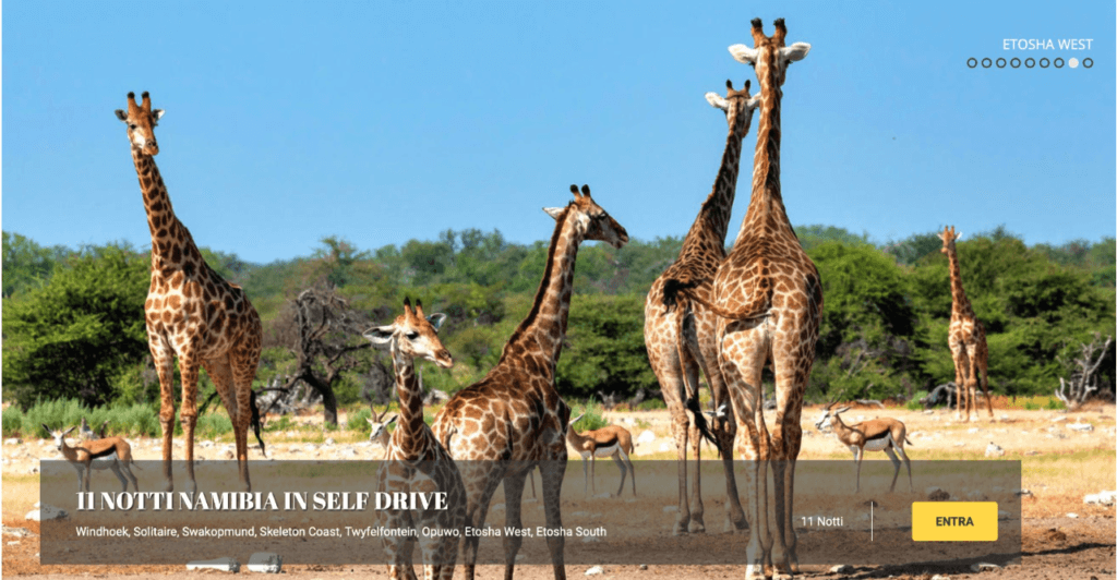 Safari in Namibia in self drive, un viaggio unico in un'Africa incontaminata