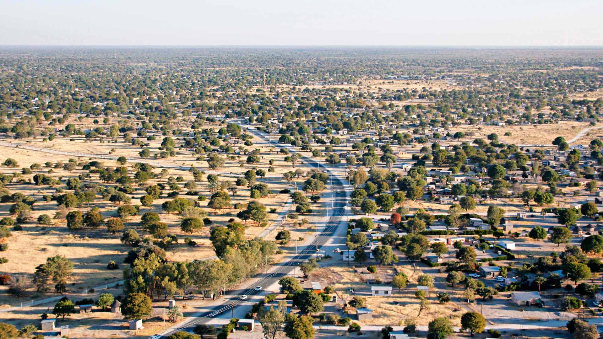 Maun