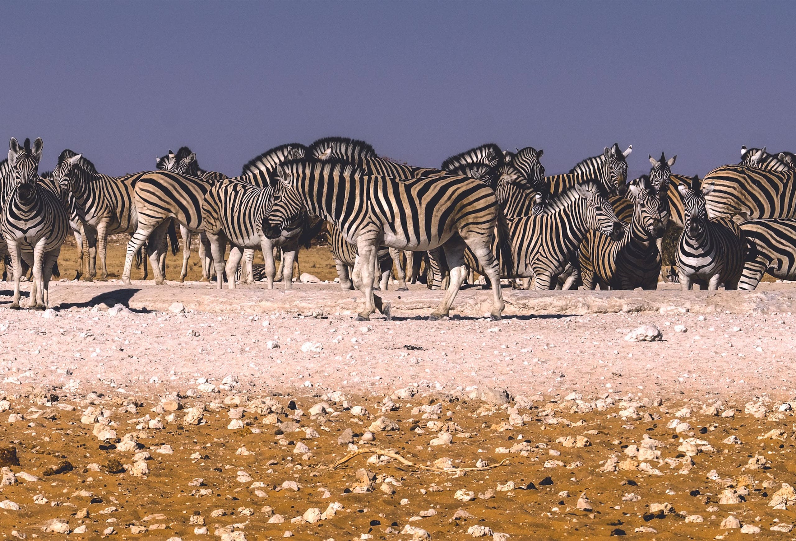 Self drive in Namibia